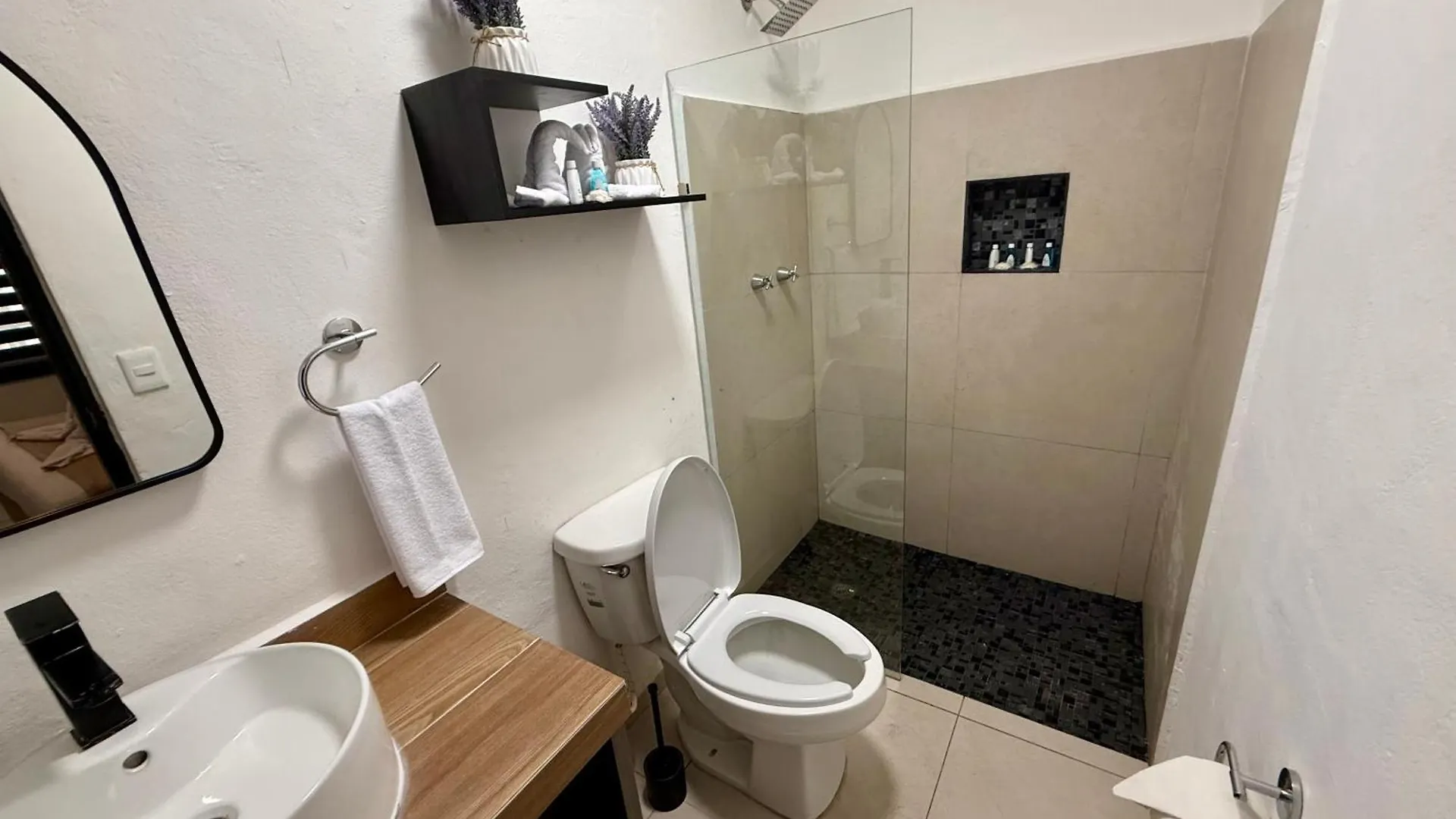 Hotel Casa Tortuga 5Th Ave Playa del Carmen